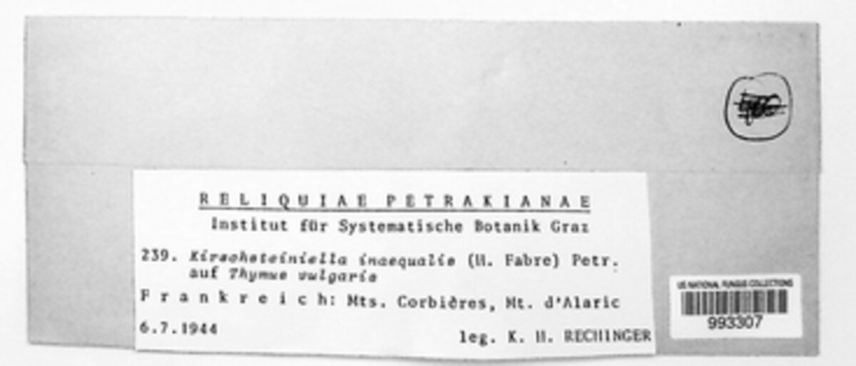 Mycomicrothelia inaequalis image